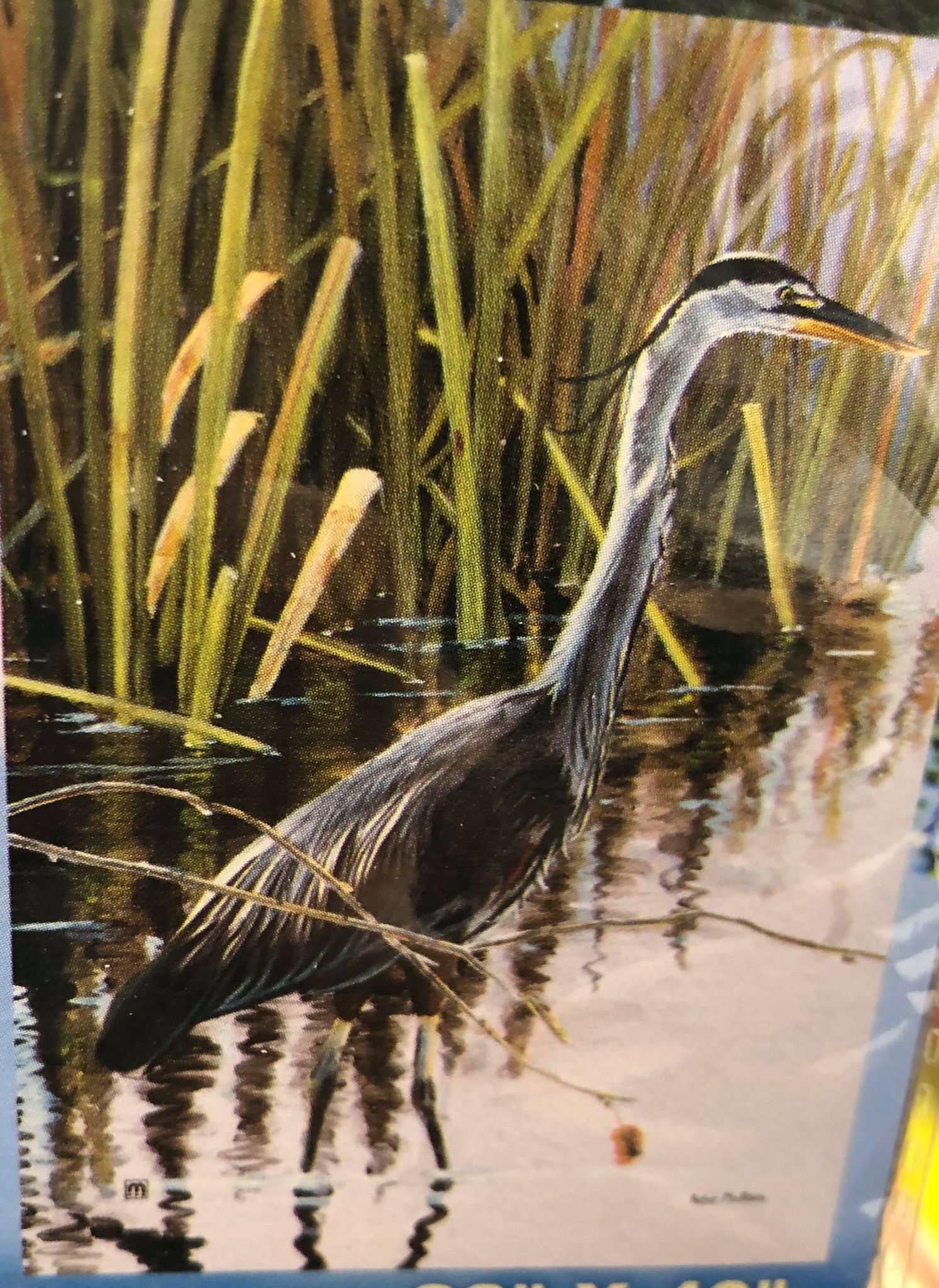 Blue Heron -Large Flag