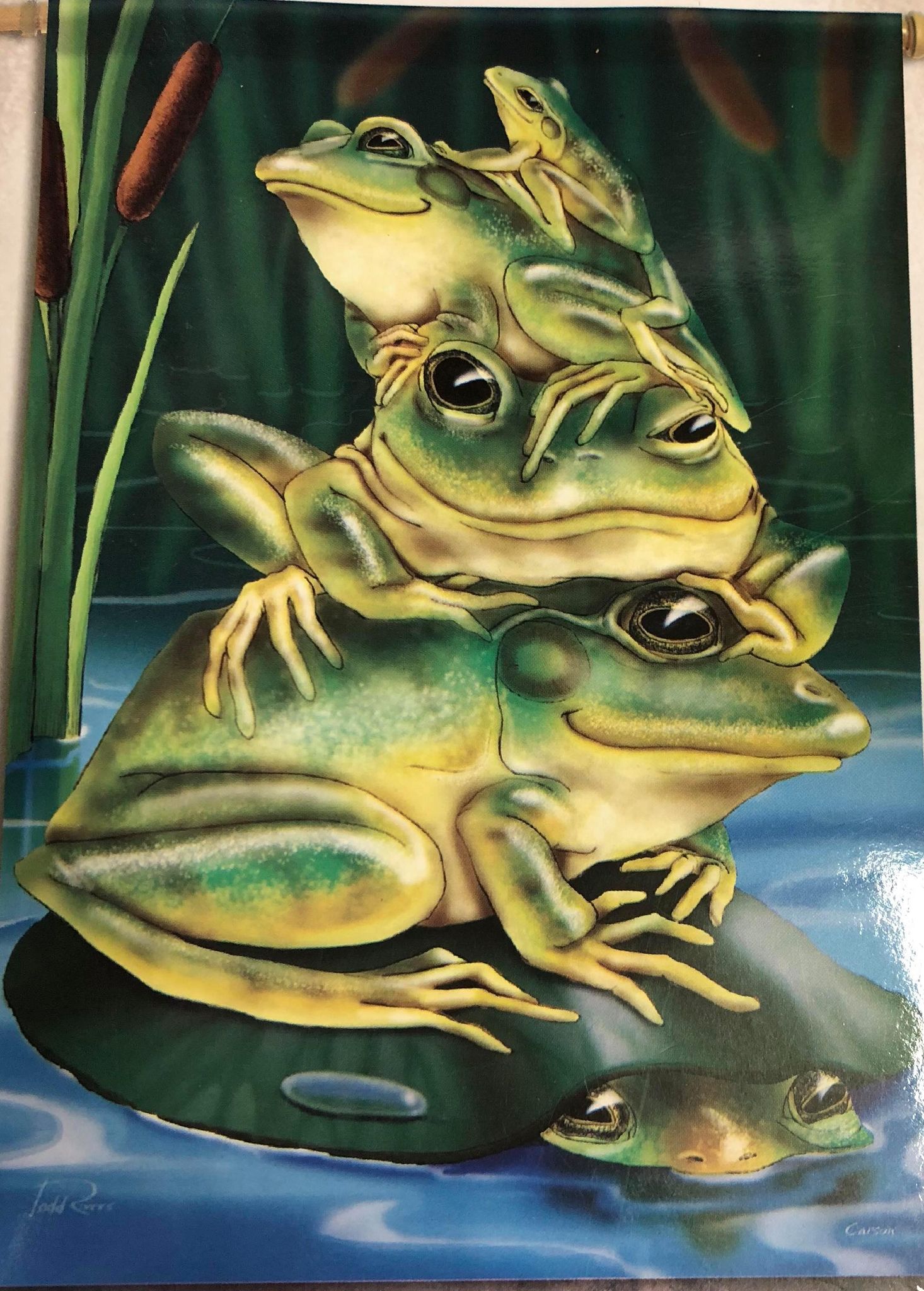 Frog Stack -Large Flag