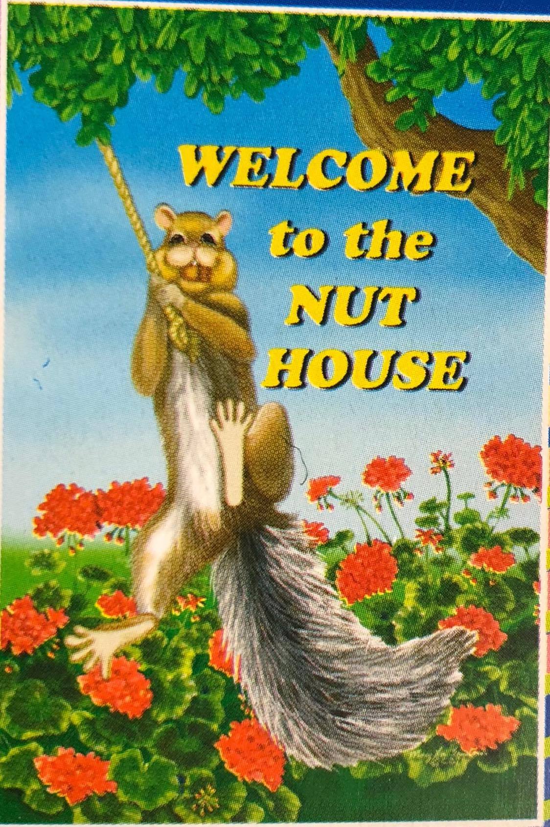 Spring Nuthouse -Large Flag