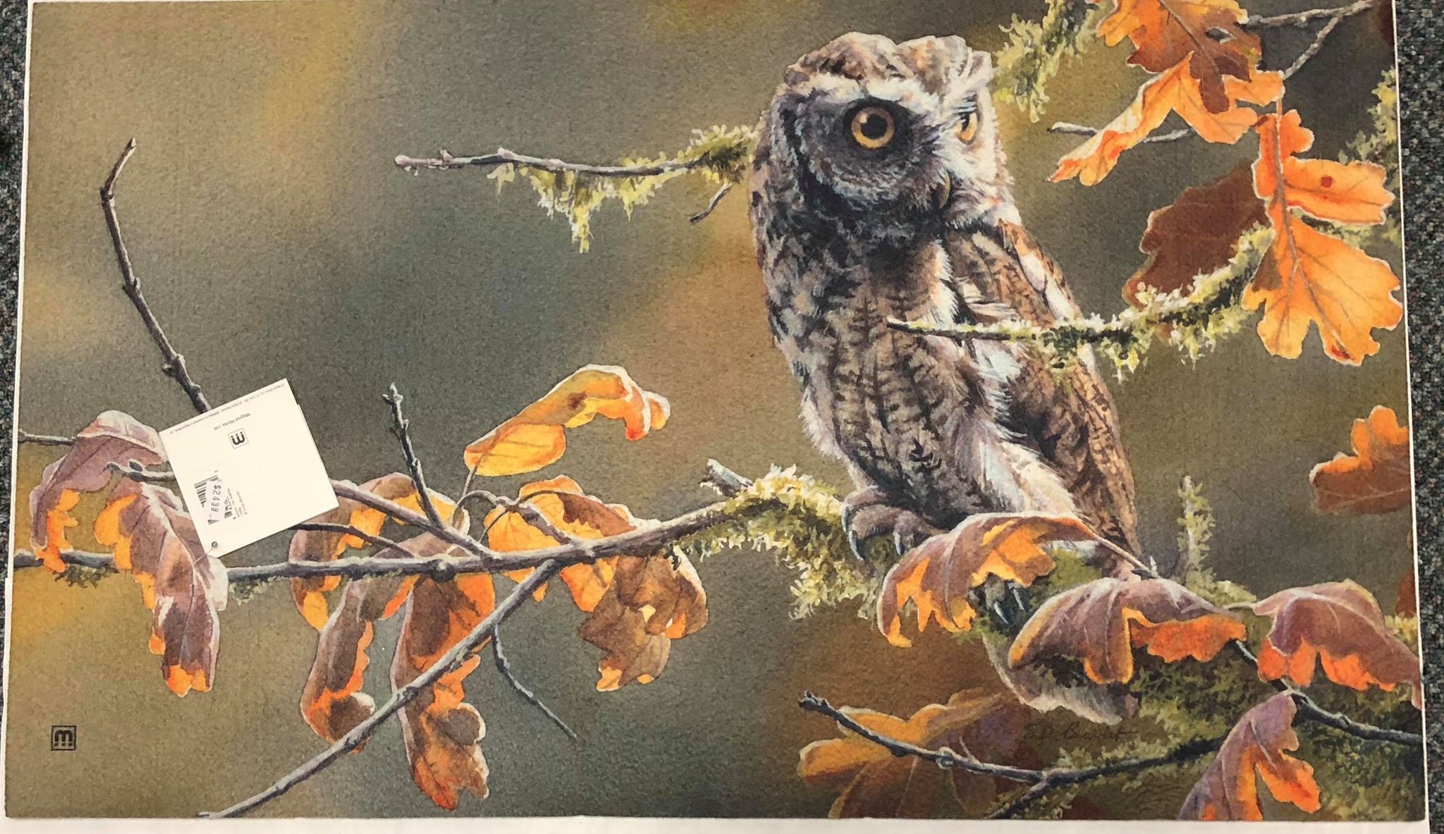 Owl on Branch with Fall Leaves Mat - Large
